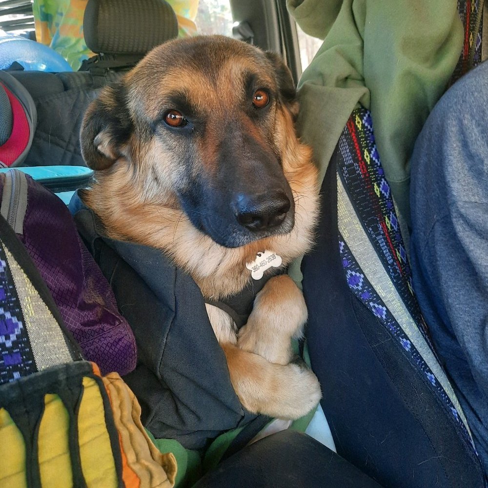 Meet your Posher, Jane